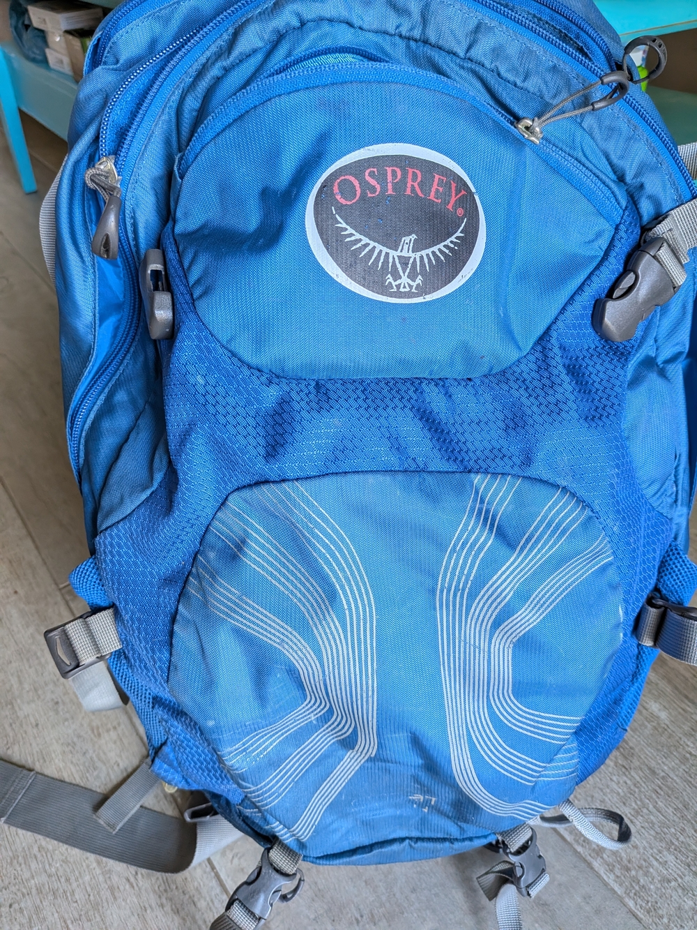 Osprey Blue 24L Backpack
